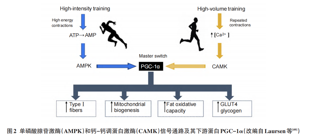 691ae23c6b985.png 691ae23c6b985.png