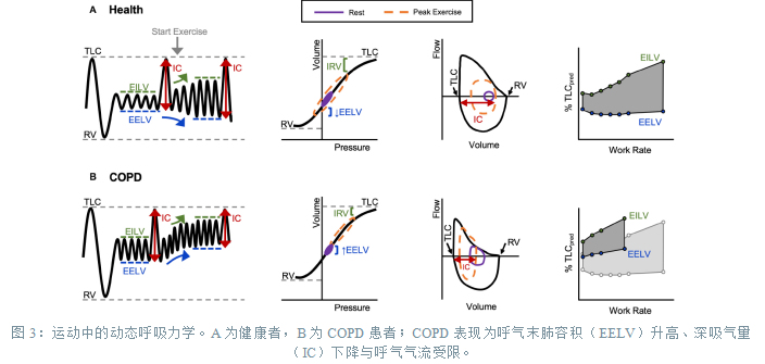 6a6c59d338dcf.png
